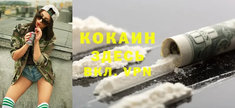 Cocaine Fish Scale  закладка  Зеленогорск 